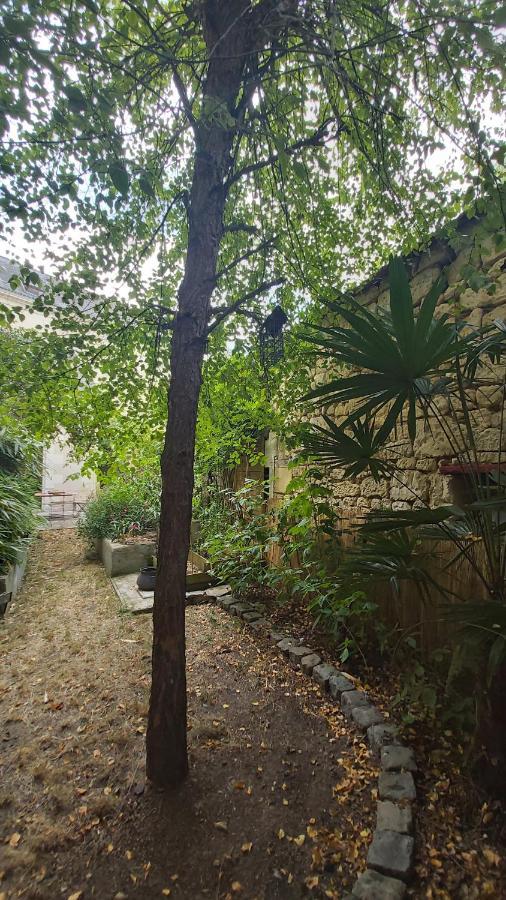 La Maison De Louise Chinon #Chateaux #Vignobles Eksteriør billede